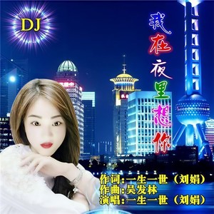 我在夜里想你 (DJ版)