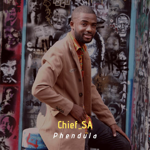 Phendula