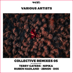 Collective Remixes 05