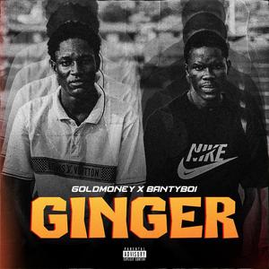 Ginger (feat. Bantyboi)