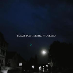 PLEASE DON'T DESTROY YOURSELF (Explicit)