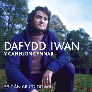 Y Dafydd Iwan Cynnar