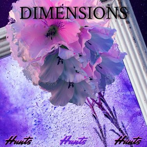 Dimensions (Explicit)