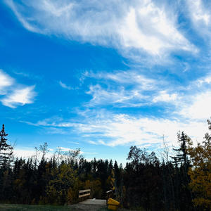 senses (feat. borgiolini)