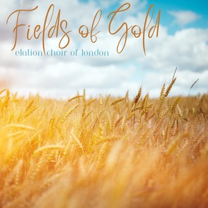 Fields of Gold