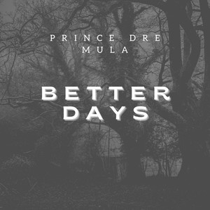 Better Days (Explicit)