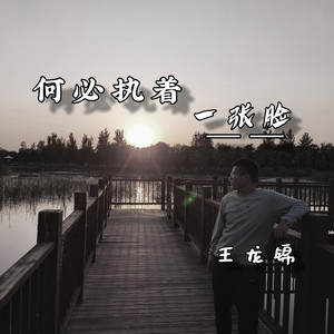 何必执着一张脸