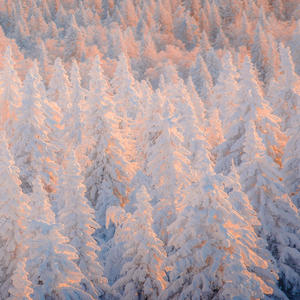 Can't go Back (Therapy Sessions take 2) (feat. Lor Act & Only1trelly) (Explicit)