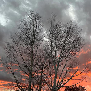 i wrote this on a bad night (Explicit)