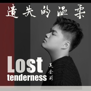 遗失的温柔