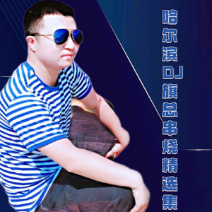 哈尔滨DJ旗总音乐工作室 - 哈尔滨DJ旗总(又是雪花飘落的时候)2023全中文慢摇首选Dj默涵大师车载串烧靓碟版