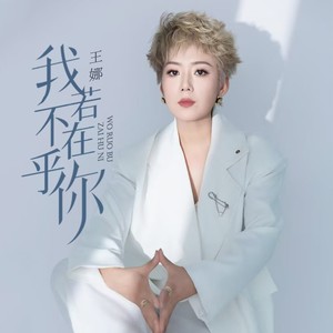 我若不在乎你-王娜