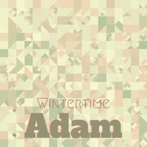 Wintertime Adam