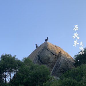 石头羊