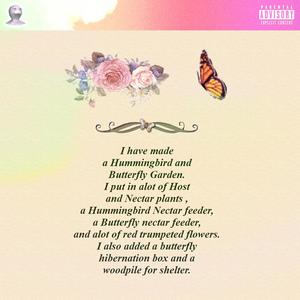 Butterflies (Explicit)