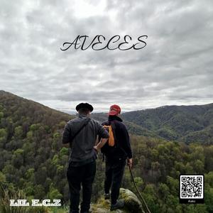 AVECES