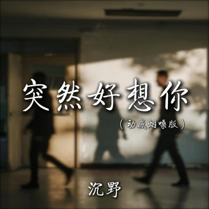 突然好想你 (动感烟嗓版)