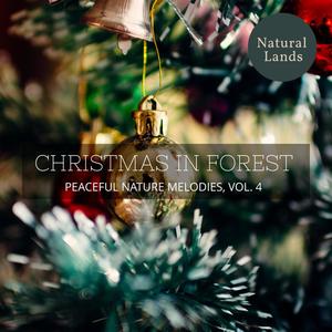 Christmas in Forest - Peaceful Nature Melodies, Vol. 4