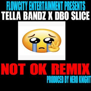 Not Ok, Pt. 2 (feat. Dbo Slice) [Explicit]