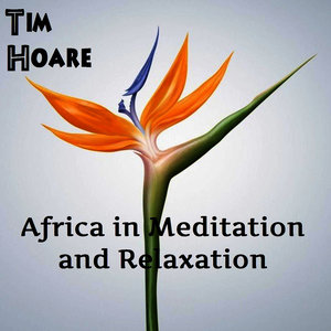 Dance of the Fireflies