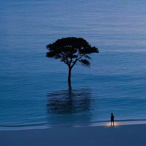 罗生门+Baby, Don't Cry(人鱼的眼泪)