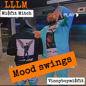 Mood Swings (feat. Vinnyboymisfit) (Explicit)