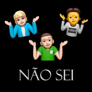 NÃO SEI (feat. Tinx & Vert Gum) (Explicit)