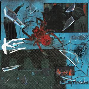 PLATINUM (Explicit)