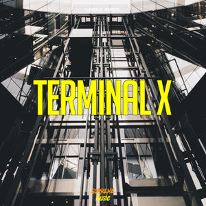 Terminal X