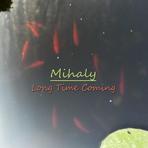 Long Time Coming (Explicit)