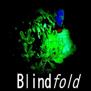 Blindfold (Explicit)