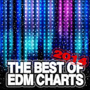 The Best of EDM Charts 2014