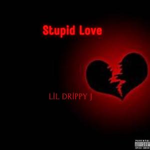 Stupid Love (Explicit)