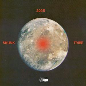 Stank Face (feat. Tmu_Kj) (Remix|Explicit)