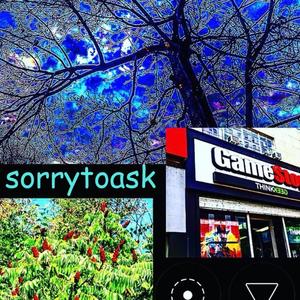 sorry to ask (Explicit)