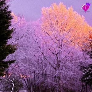 sorry i took so long