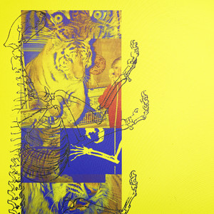 Preservation - Lone Island