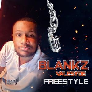 FreeStyle (feat. Blankz Valesyde) [Explicit]