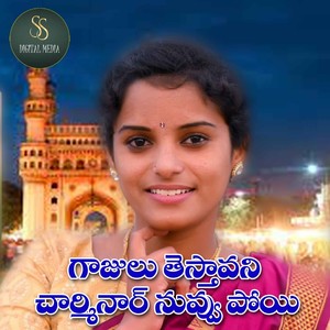 Gajulu Testavani Charminar Nuvvu Poyi (Folk Song)