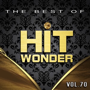 Hit Wonder: The Best Of, Vol. 70