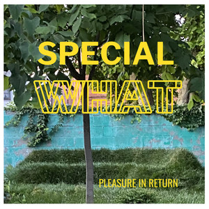 Amidst these Gadarene goings-on, cleave the rift in the drift, none bereft.