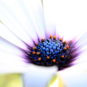 男儿当自强 (真诚版)