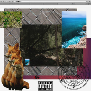 Kill Switch (Explicit)