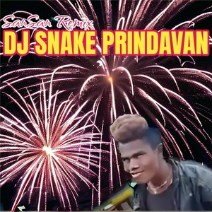 DJ Snake Prindavan