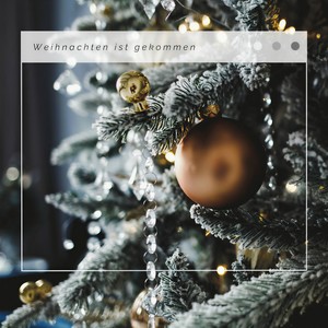 Il primo Natale: biscotti di Natale