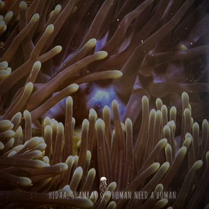 Human Need a Human (Extended Mix)