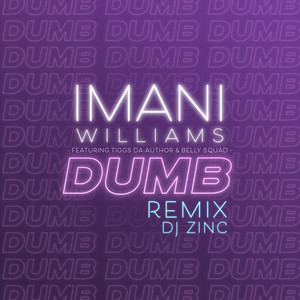 Dumb (DJ Zinc Remix)