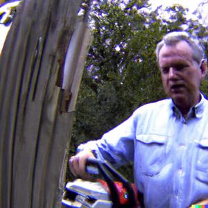 GEORGE BUSH WIT A CHAINSAW FOUND TRAILCAM FOOTAGE (feat. TWIN CHXRLI, Garbagecore, LiL GOLDiE & XANADU) (Explicit)