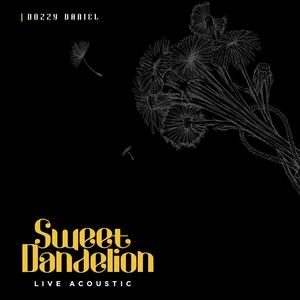 Sweet Dandelion (Live Acoustic)