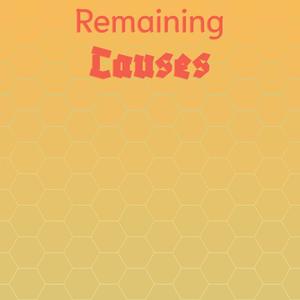 Remaining Causes
